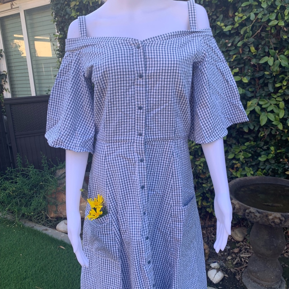 Blue picnic dress